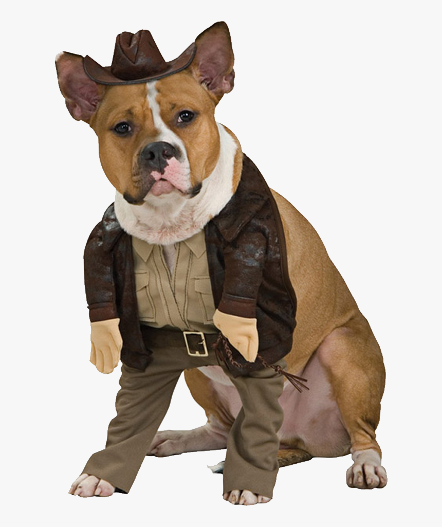 Sheriff Costume For Dog, HD Png Download