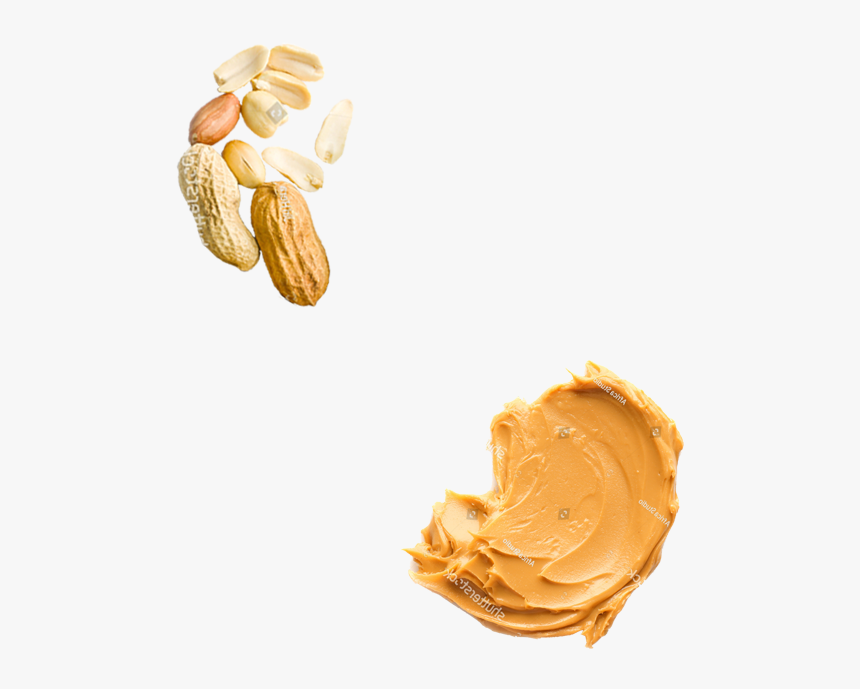 Protein Bar - Cashew, HD Png Download