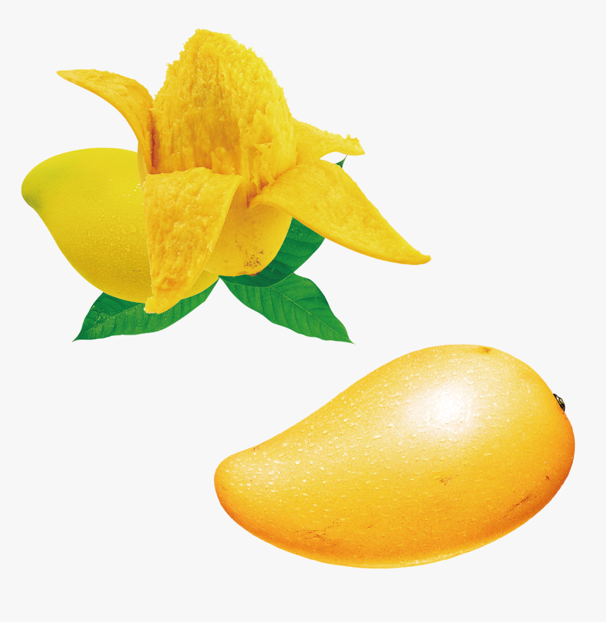 Seed Clipart Mango Seed Mango With Seed Png Hd, Transparent Png