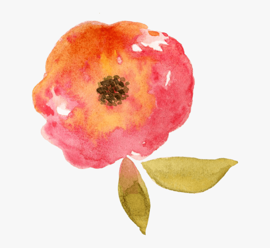 中国风荷花水彩画 - Pomegranate, HD Png Download