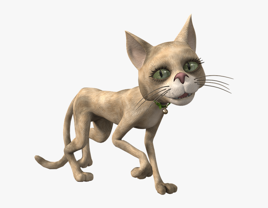 Cat, HD Png Download