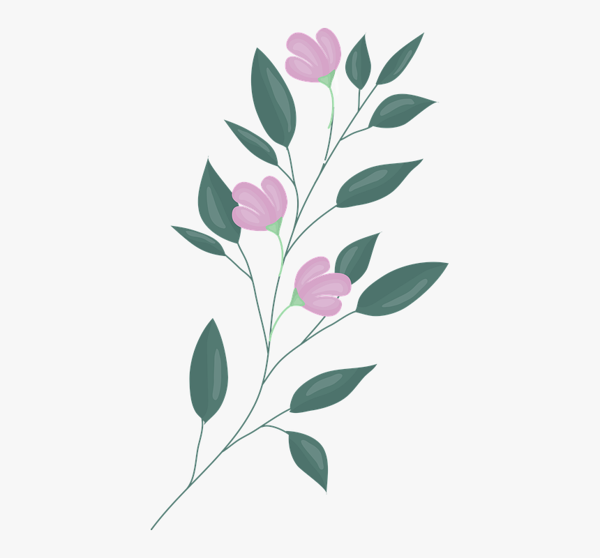 Hojas De Diseño Con Plantas, HD Png Download