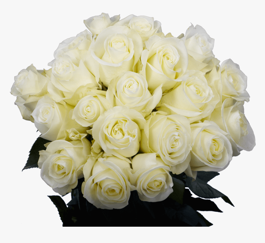 White Rose Flowers - Cut Flowers, HD Png Download