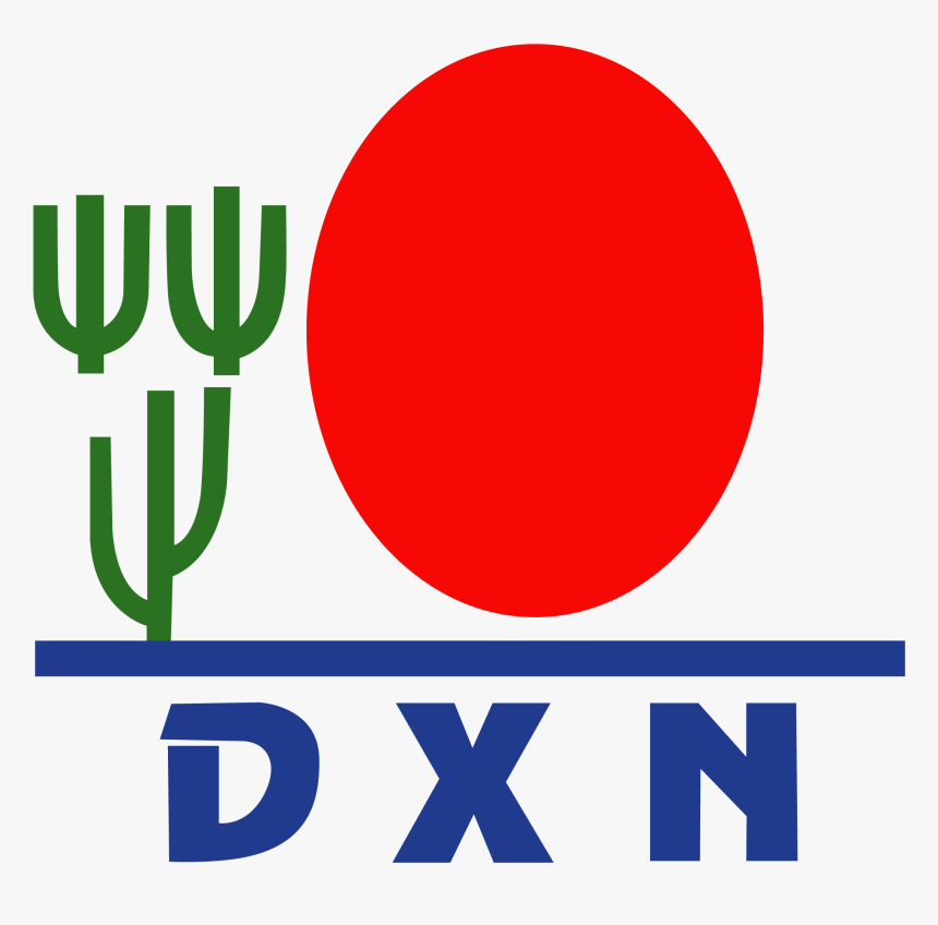 America Plano De Saude, HD Png Download