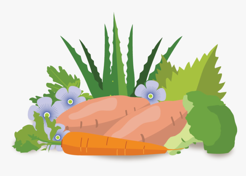 Illustration , Transparent Cartoons - Illustration, HD Png Download