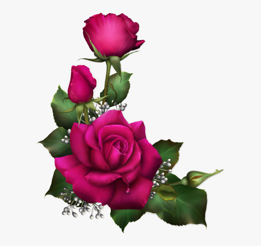 Rosa Para Sublimar, HD Png Download