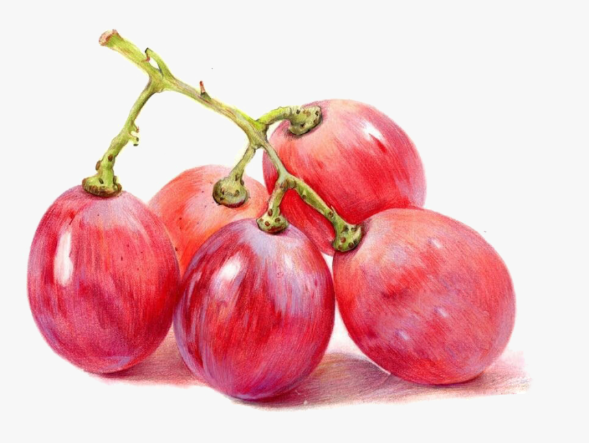 Gooseberry, HD Png Download