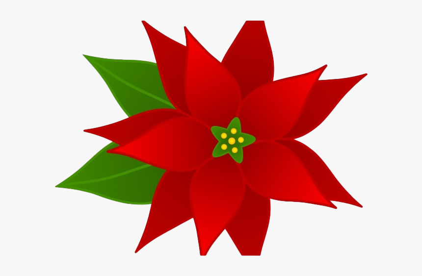 Transparent Background Poinsettia Clipart, HD Png Download