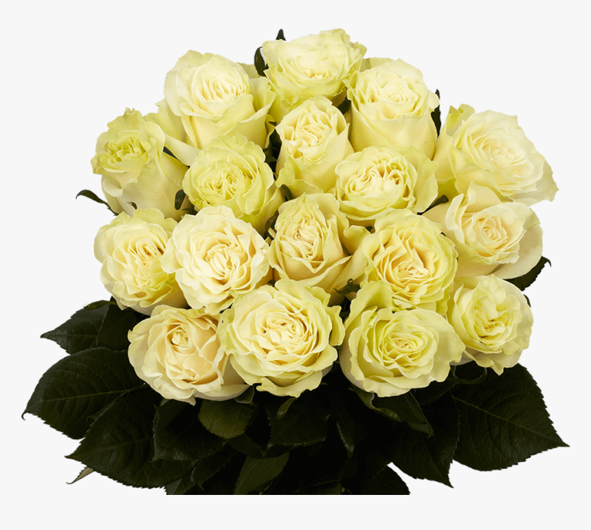 White Roses Fresh Mondial Roses Flowers Direct - Floribunda, HD Png Download