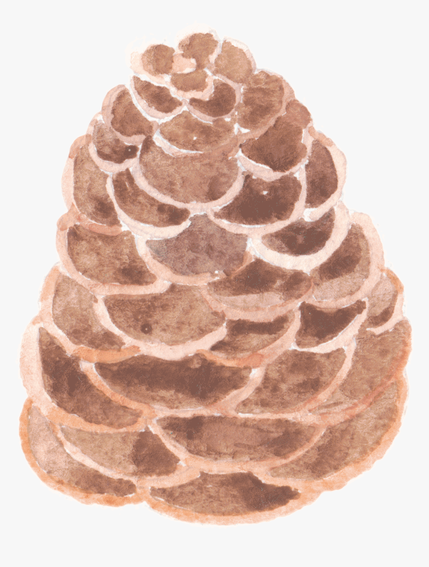 Fruit, HD Png Download