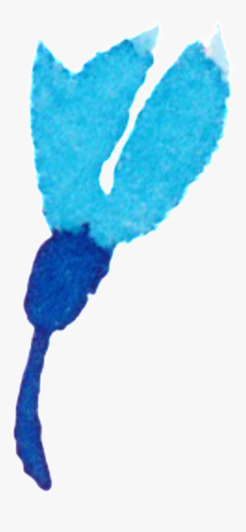 Ornamental For Watercolor Flower Bouquet - Fish, HD Png Download