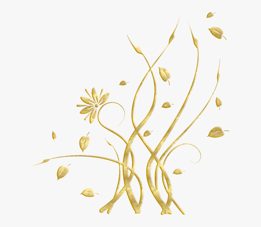 Ornement - Floral, HD Png Download
