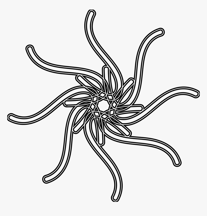 Sun Clipart Drawing Banner Black And White Download - Insect, HD Png Download