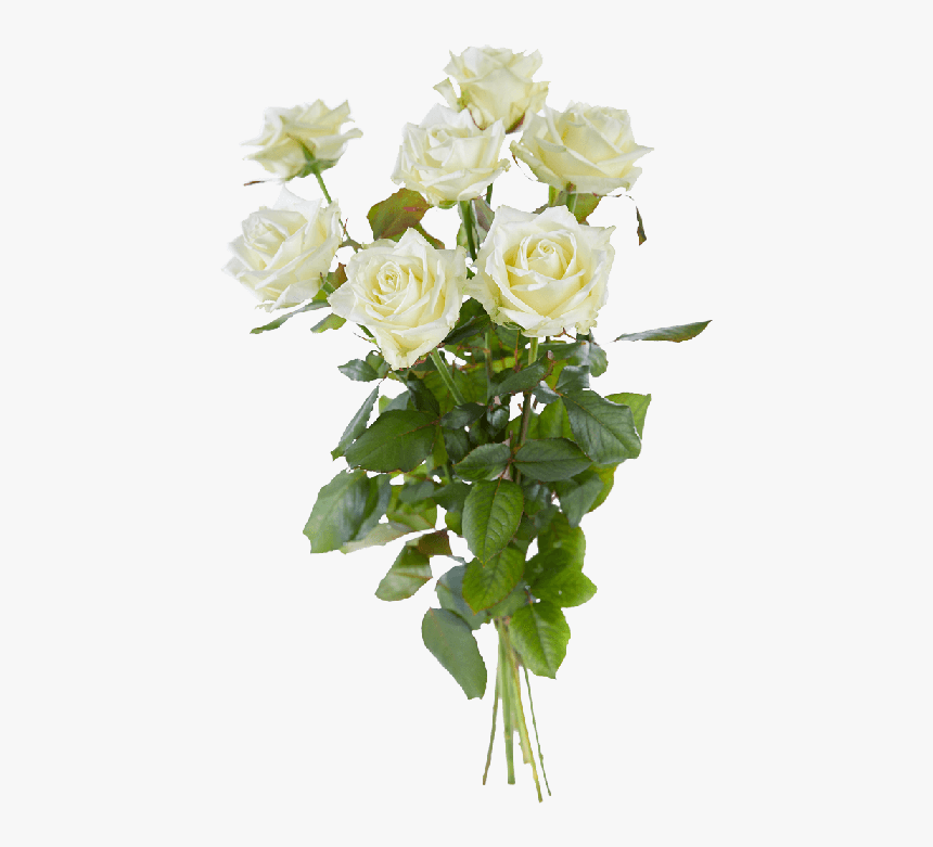 Boeket Witte Rozen, HD Png Download
