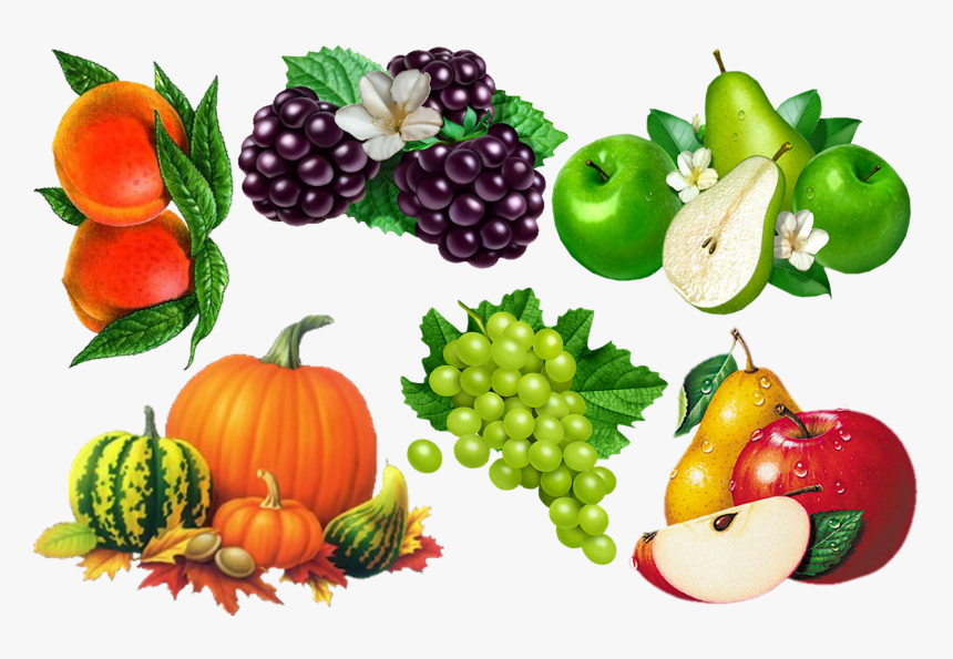 Portable Network Graphics, HD Png Download