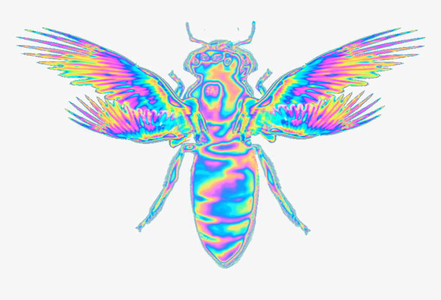 Some Holographic Gifs I’ve Been Playing With - Emojis Imagenes Tumblr Png, Transparent Png