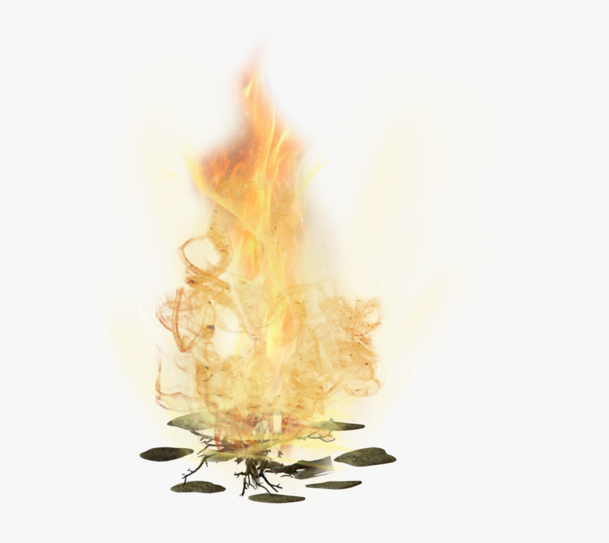 Fire - Macro Photography, HD Png Download