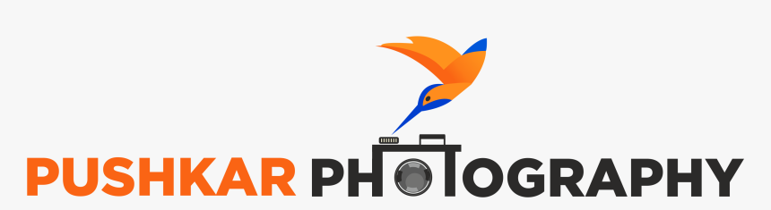 Logo - Graphic Design, HD Png Download