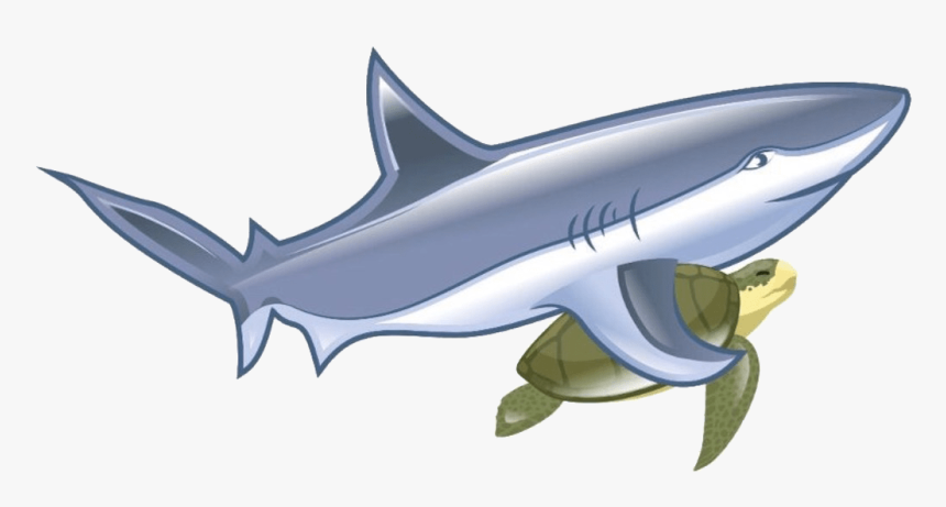 Shark, HD Png Download