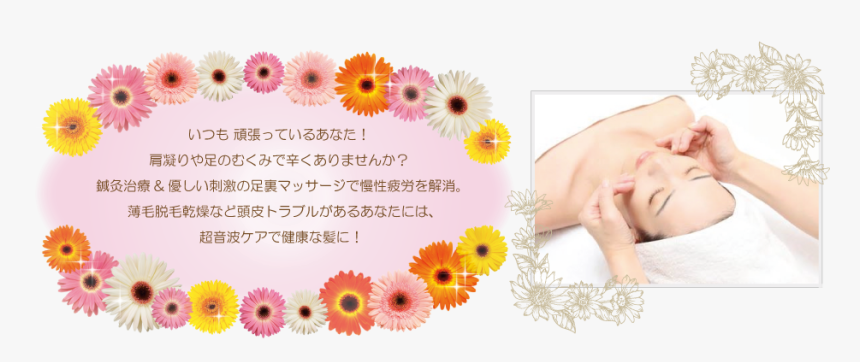 Daisy, HD Png Download