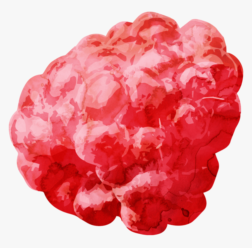 实拍新鲜水果覆盆子png - Raspberry, Transparent Png