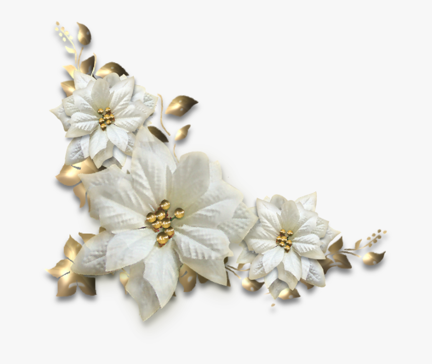 Poinsettia, HD Png Download