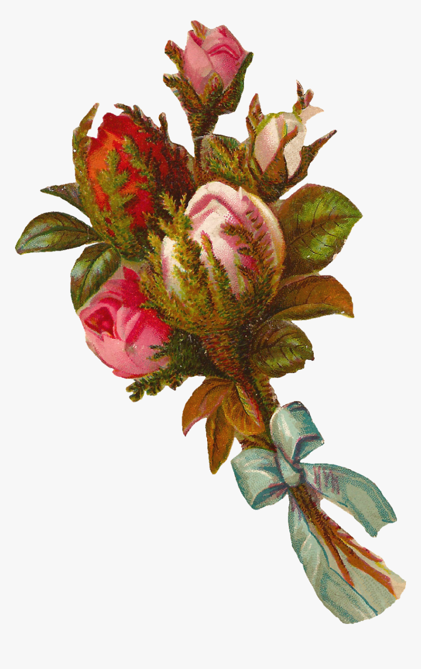 Garden Roses, HD Png Download