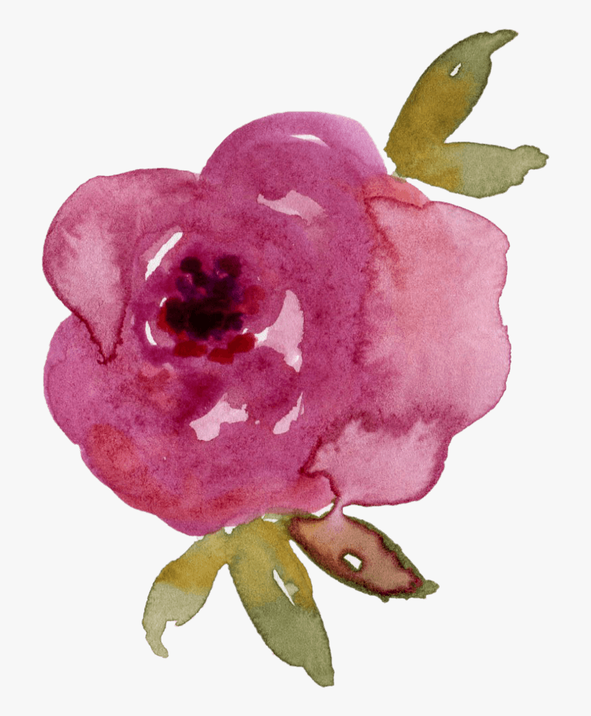 中国风荷花水彩画 - Impatiens, HD Png Download