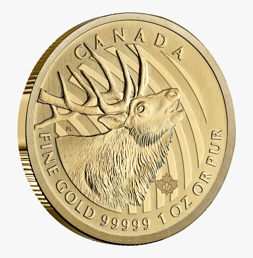 Coin, HD Png Download