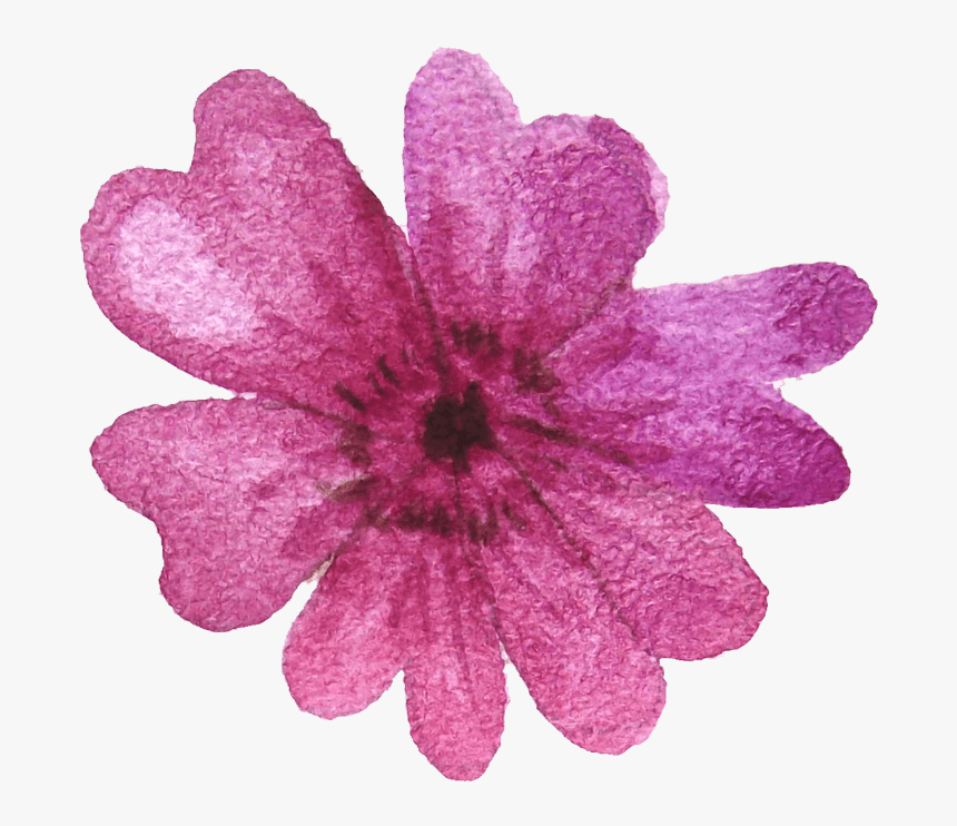 中国风荷花水彩画 - Bellflower, HD Png Download