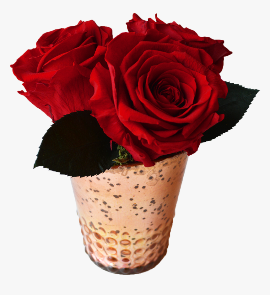 Floribunda, HD Png Download