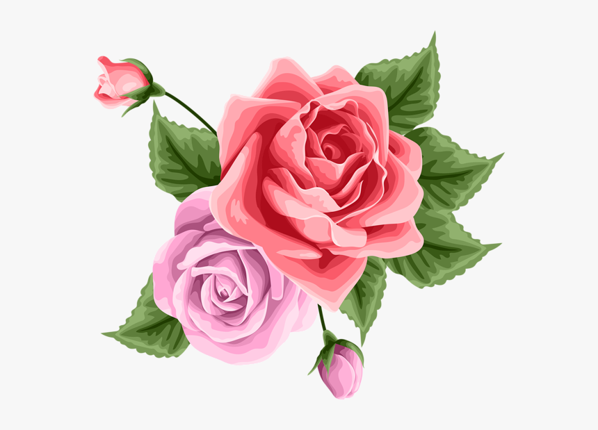 Decoration Rose Transparent, HD Png Download
