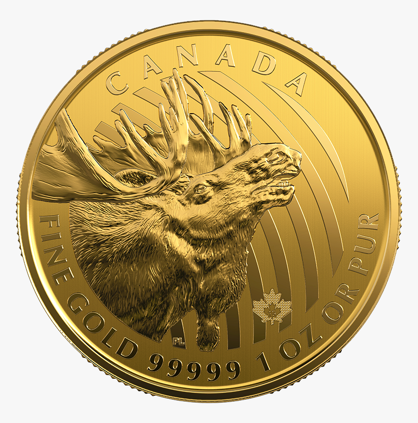 Canadian Maple Leaf Png, Transparent Png