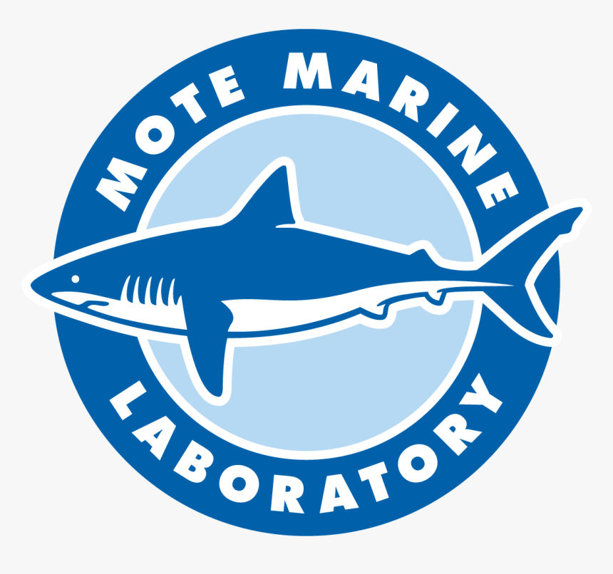 Mote Marine Laboratory & Aquarium, HD Png Download