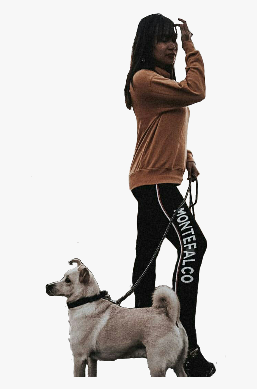 #jonaxx #freetoedit #freetoeditremix #wattpad - Companion Dog, HD Png Download