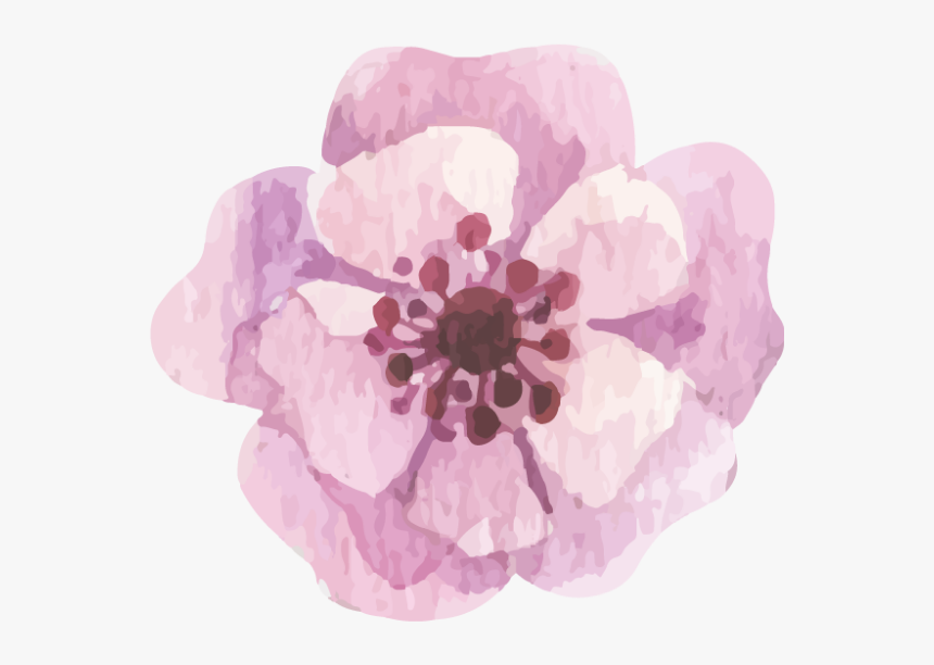Watercolour Watercolor Flower Floral Anemone Hd Png Download Transparent Png Image Pngitem
