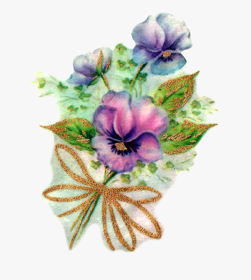 Viola, HD Png Download