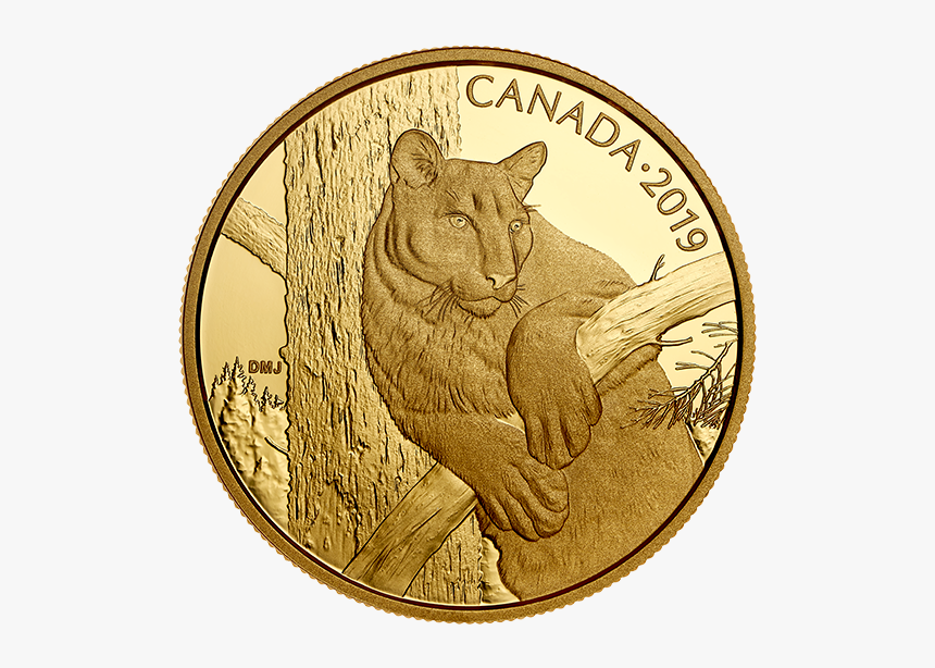 Coin, HD Png Download