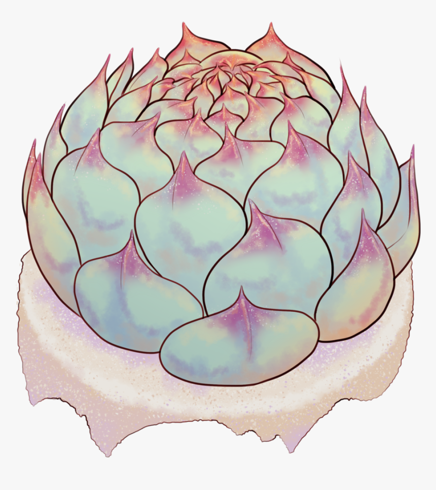 Lampshade, HD Png Download