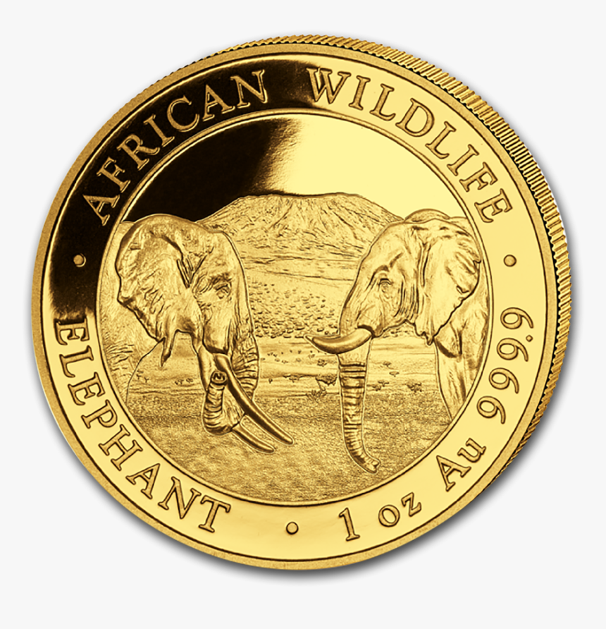 2020 1 Oz Somalia Elephant 9999 Gold Coin Bu - Gold Coin 2020 Bullion, HD Png Download