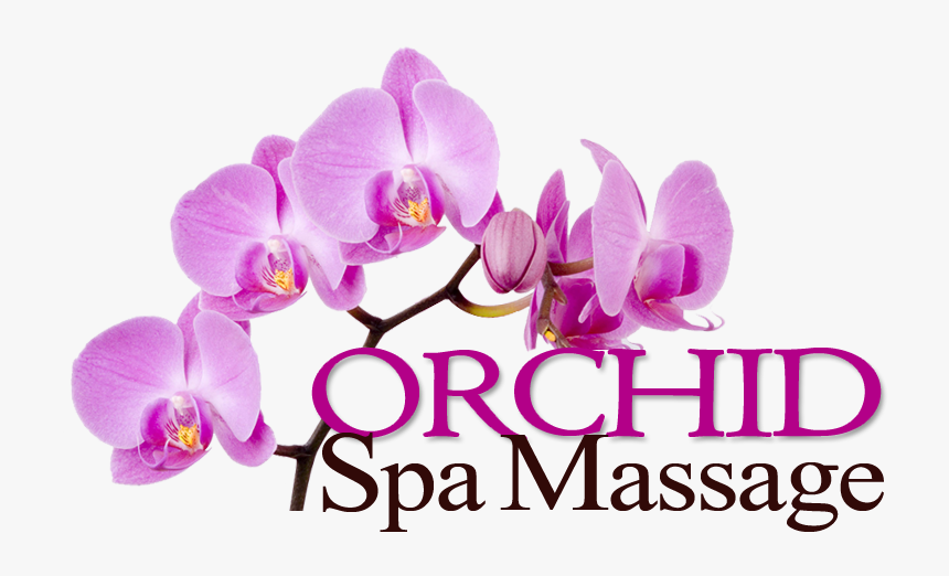 Pink Orchids Wallpapers Hd, HD Png Download