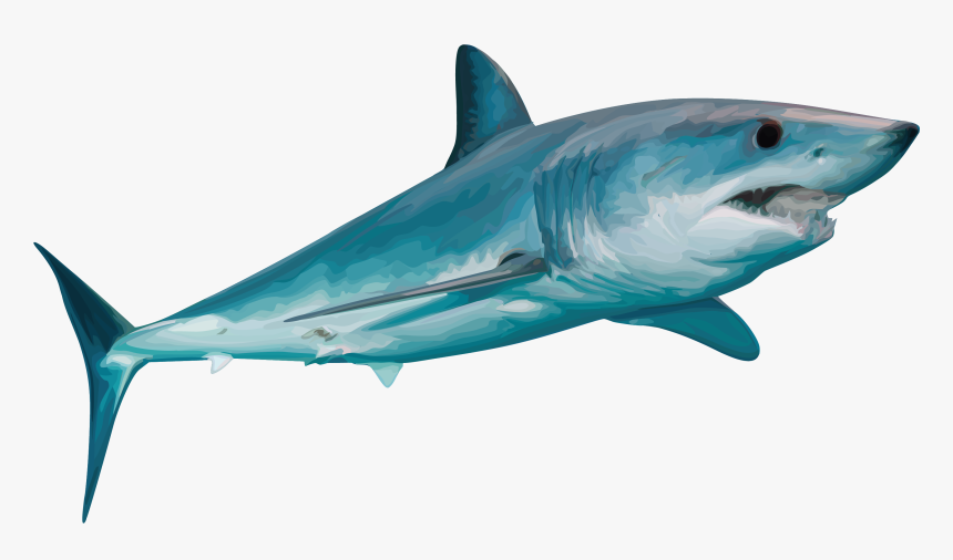 Tiger Shark, HD Png Download