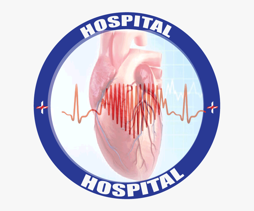 Stallion, HD Png Download