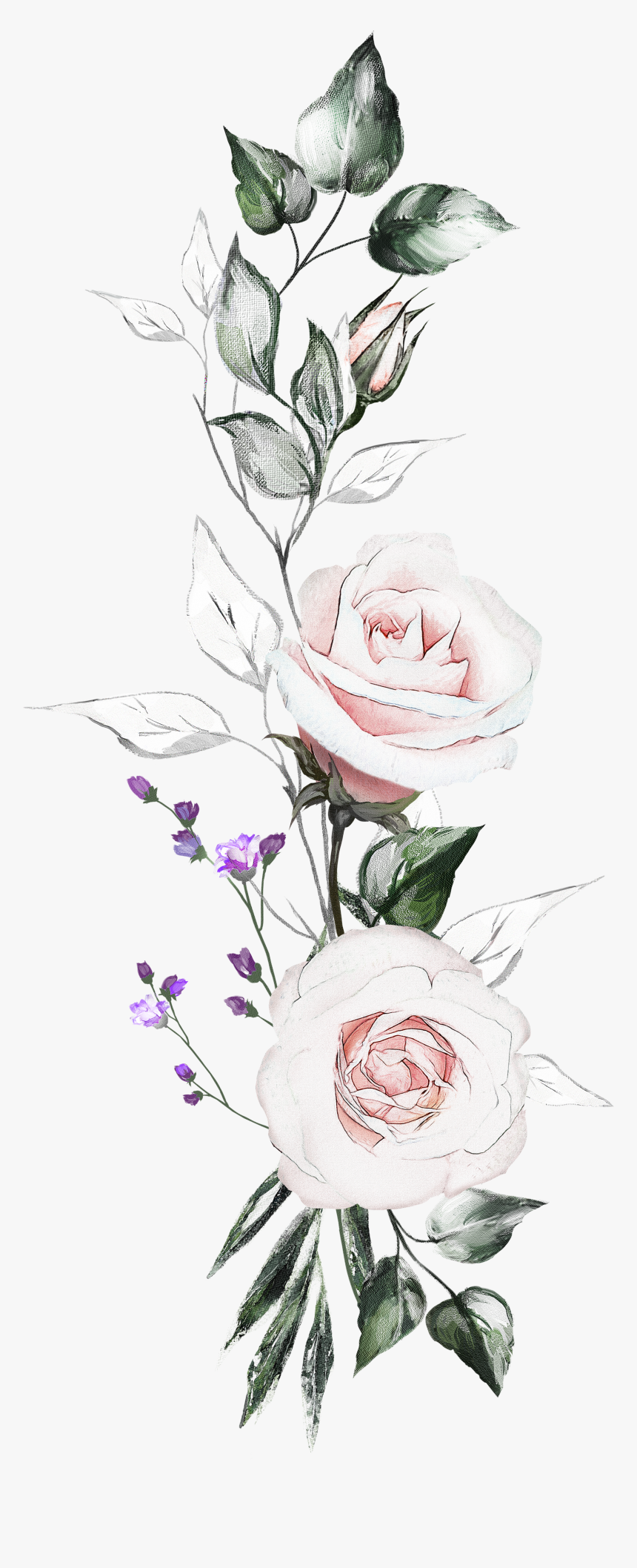 Floribunda, HD Png Download