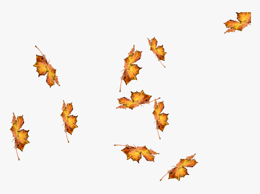 Autumn, HD Png Download