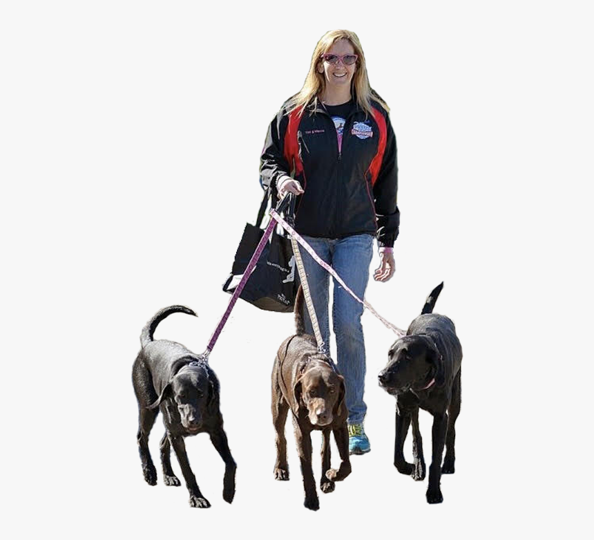 Companion Dog, HD Png Download