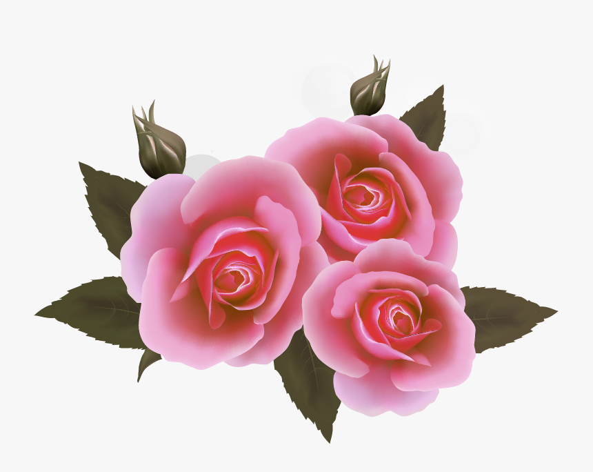 Rose And Ribbon Png Hd, Transparent Png