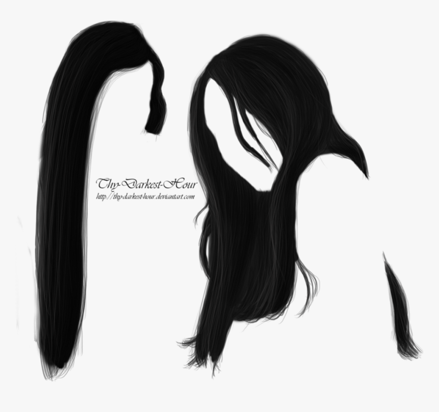 Black Hair Png Download Image - Drawing Hair Png, Transparent Png