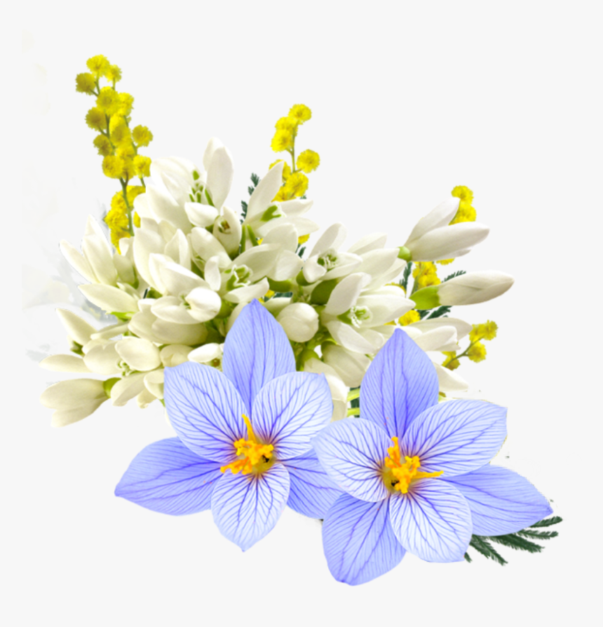 #bloom #frame #flower #border #flowers #white #bouquet - Girl With Flowers, HD Png Download