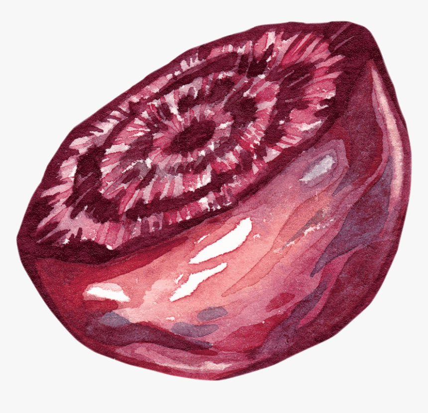Radicchio, HD Png Download